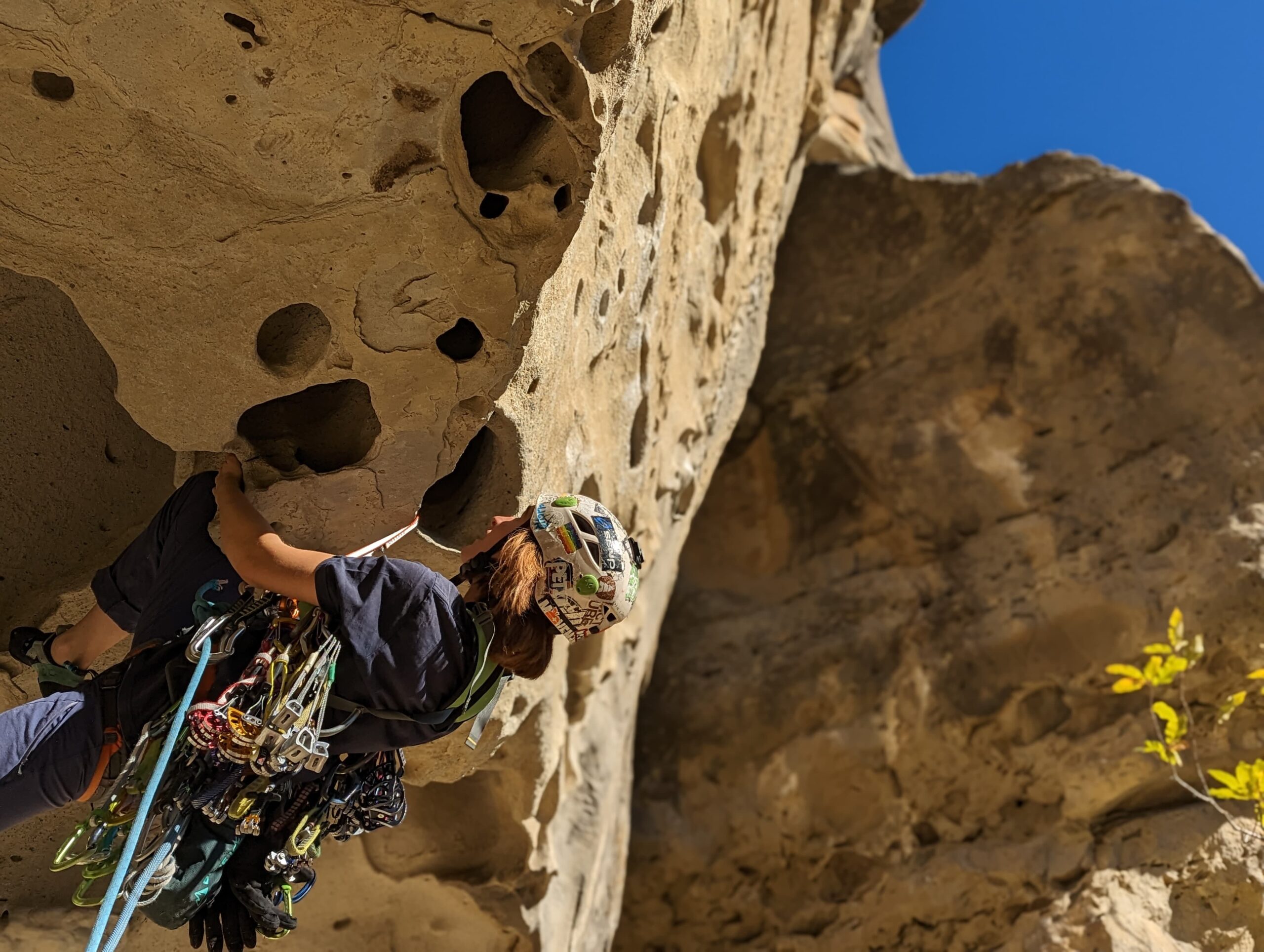 PXL_20221119_110952419.PORTRAIT (1)